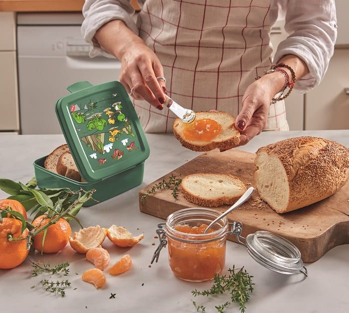 BOITE A TARTINES "DINOSAURE" 0.5L