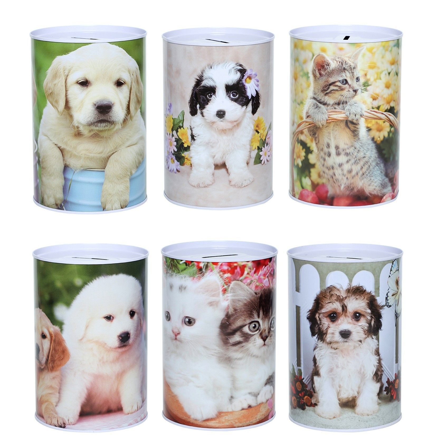 SPAARPOT KAT EN HOND