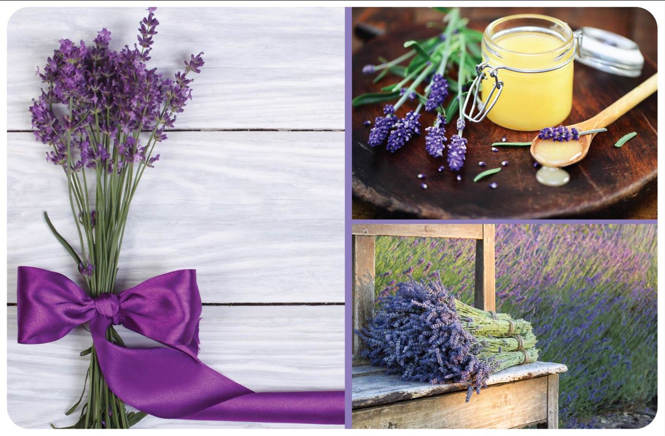 PLACEMAT "LAVENDEL" PP 43.5X28.2CM