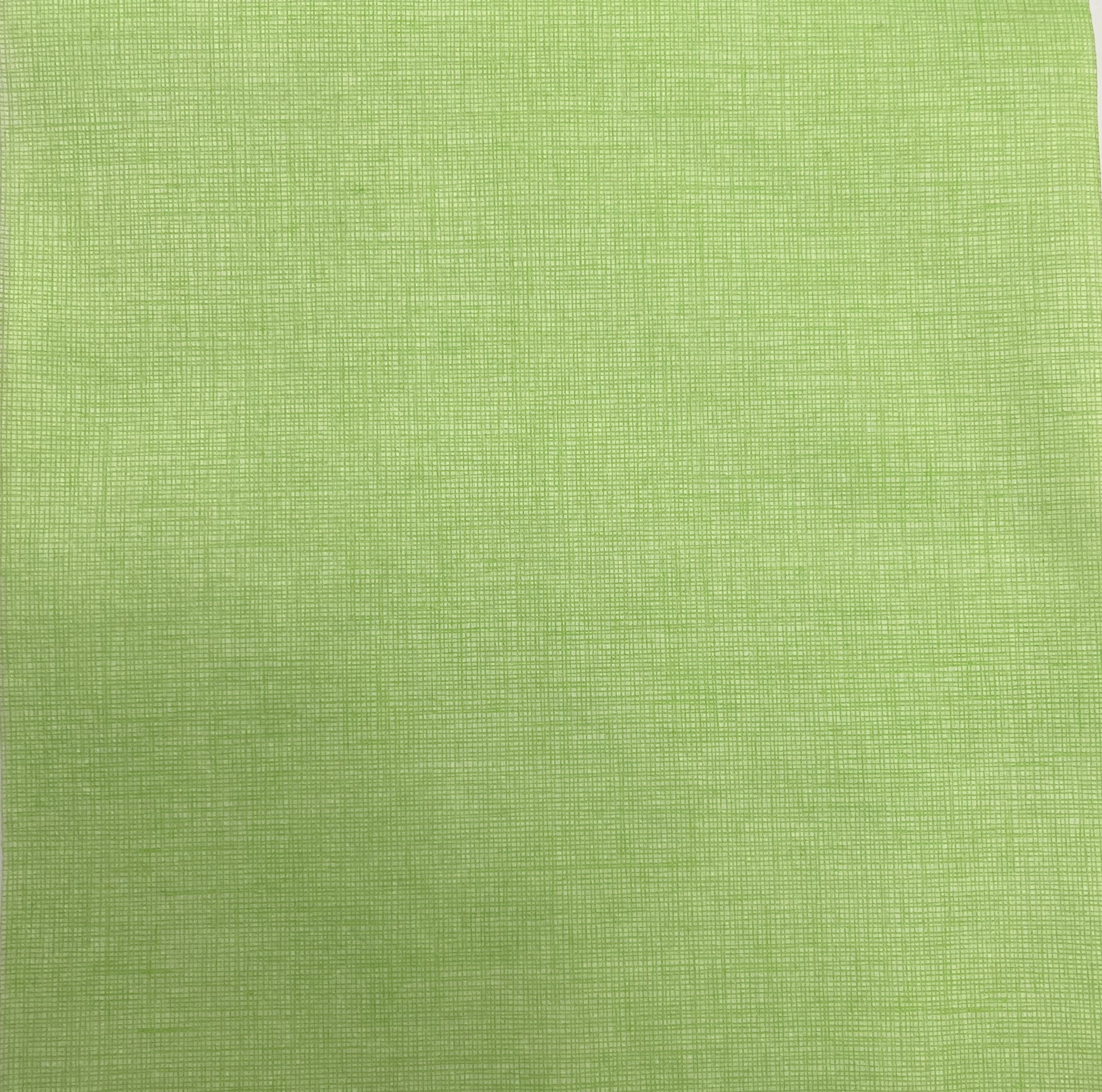 20 SERVIETTES CACHEMIRE 40X40 KIWI