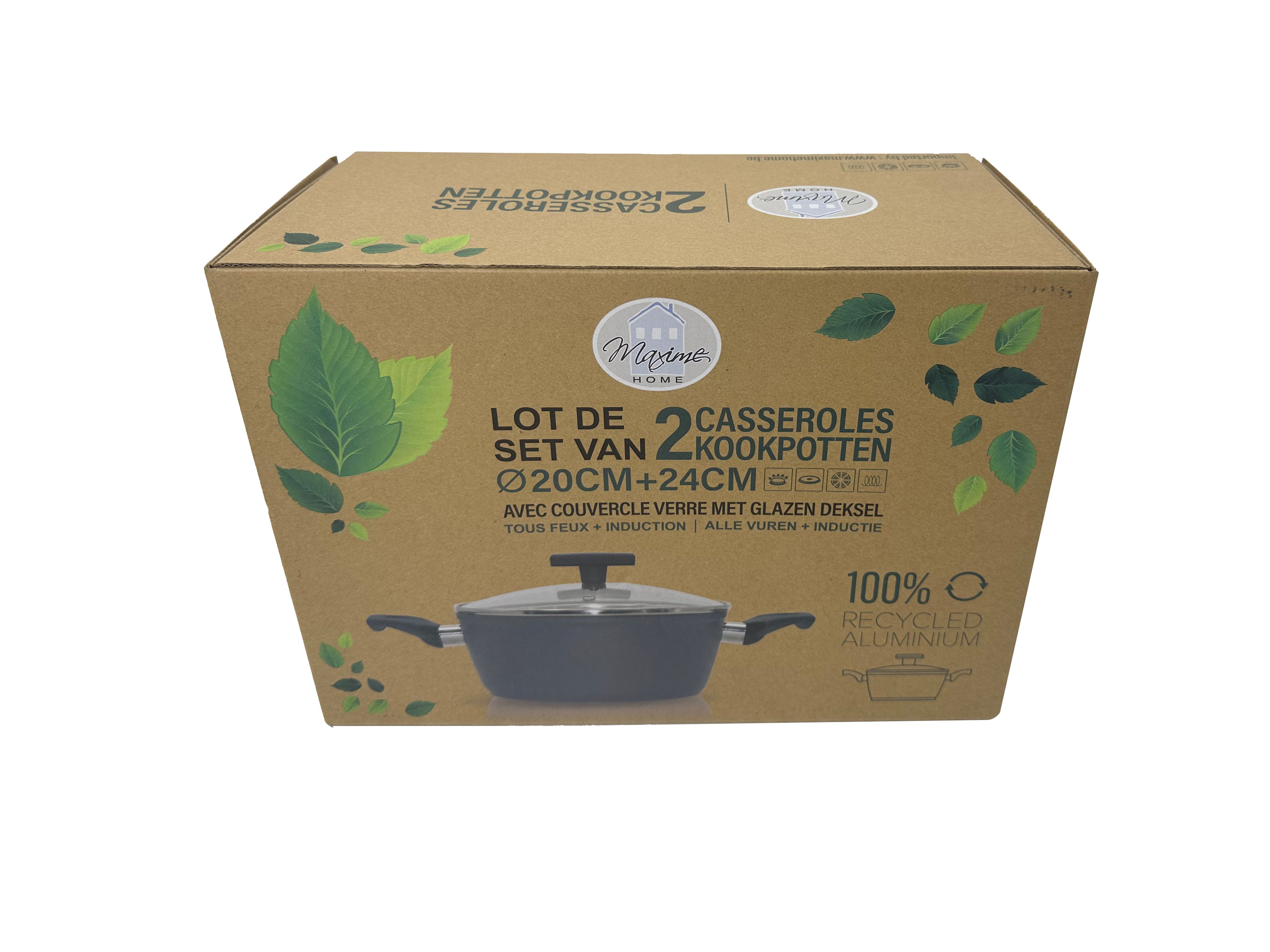 SET DE 2 CASSEROLES DIA.20/24CM