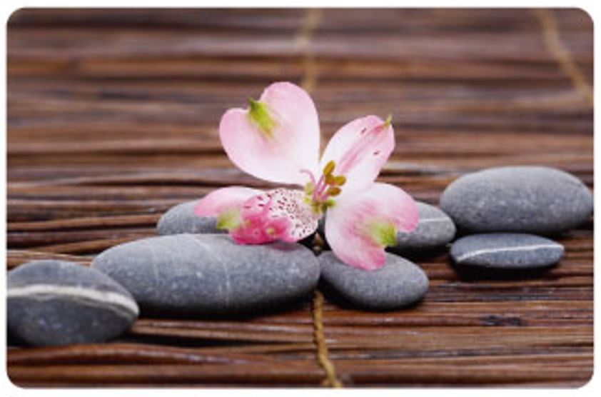 PLACEMAT "KIEZELZTENEN" PP 43.5X28.2CM