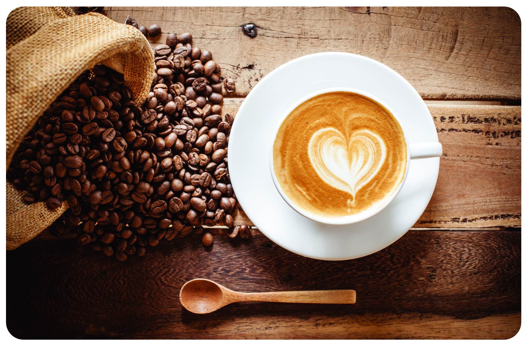 PLACEMAT "CAPPUCCINO" PP 43.5X28.2CM