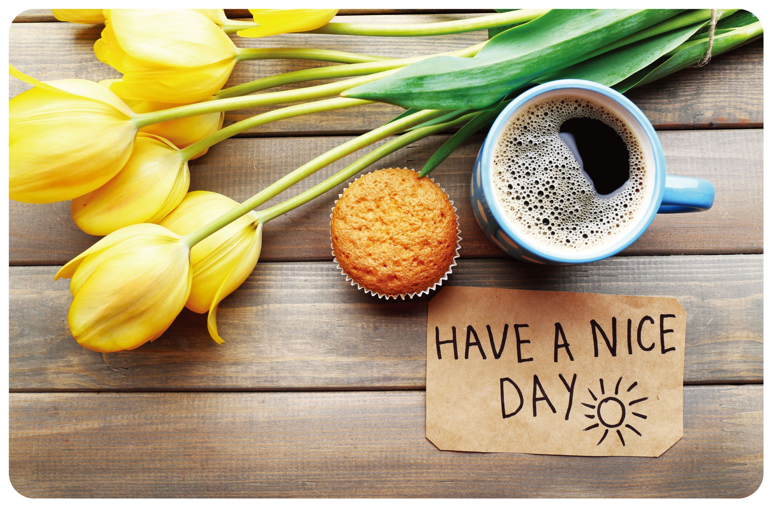 PLACEMAT "TULPEN" PP 43.5X28.2CM