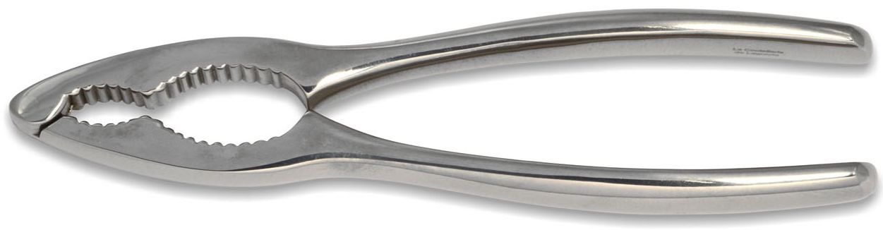 NOTENKRAKER INOX L.16CM